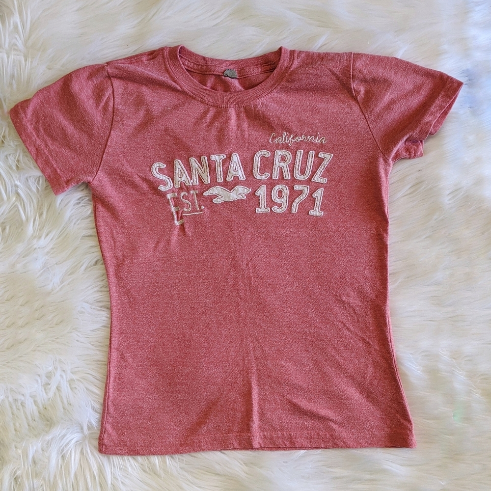 Pink Embroidered Santa Cruz Top